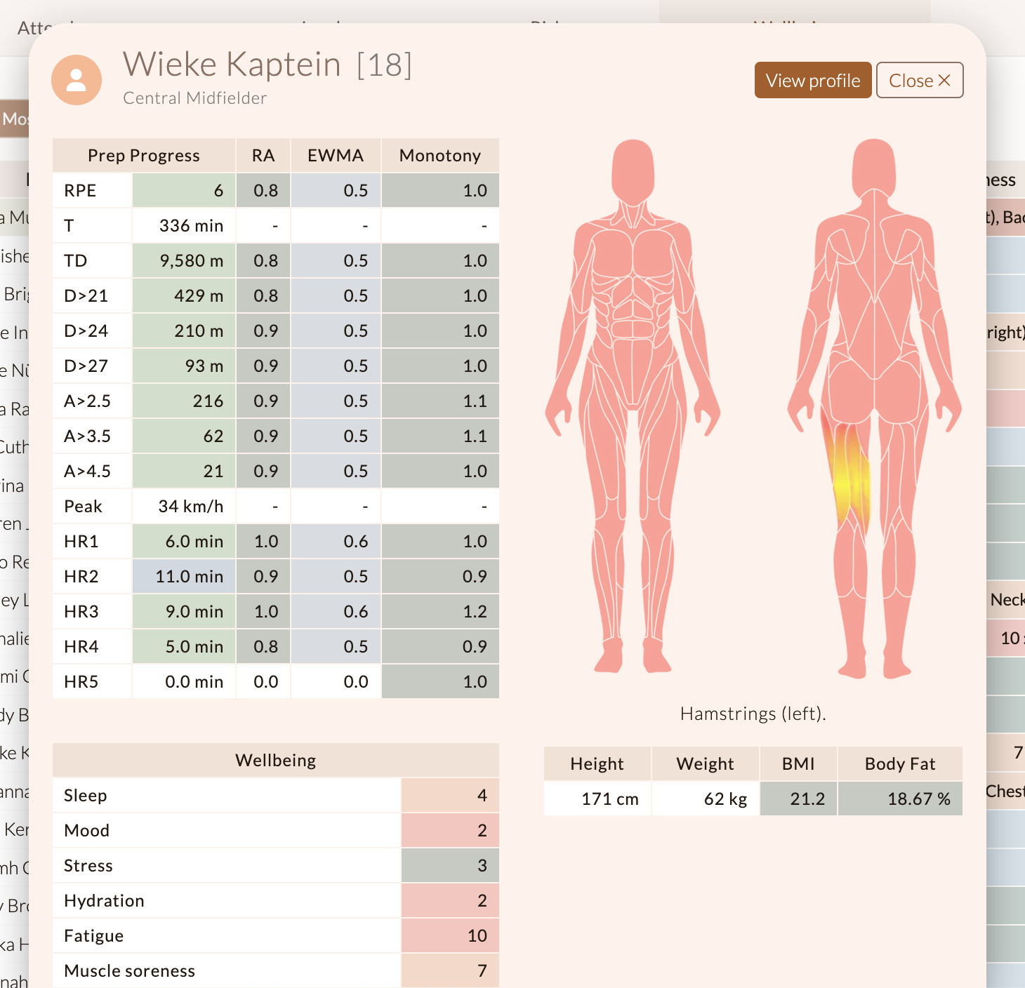 Player overview